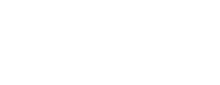 Meta Business Partner
