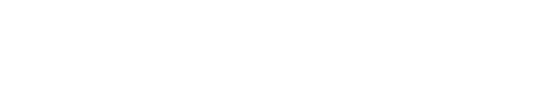 Swiss Digital Services