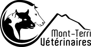 logo-black