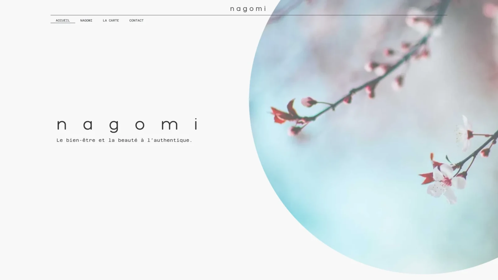 Nagomi: Webentwicklung von e-Medias Group